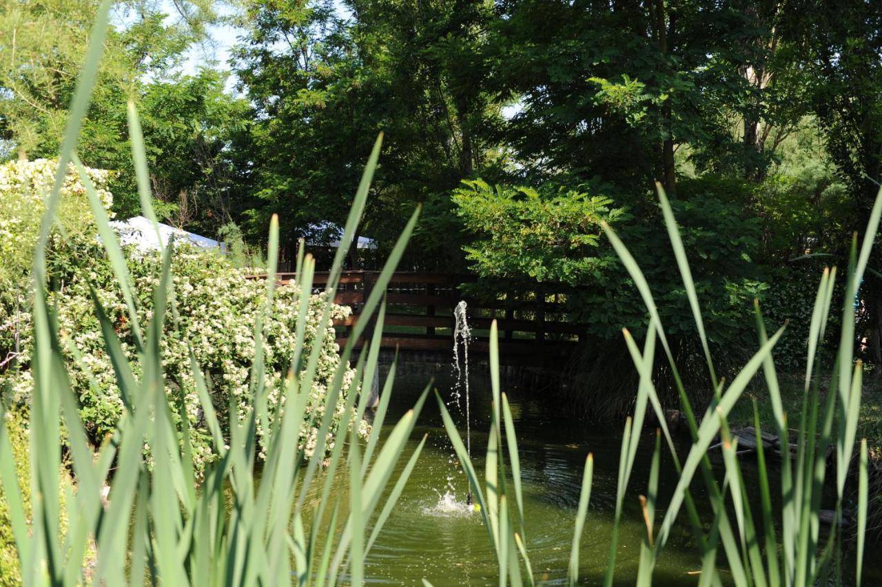 Giardino Di Rebecca Bed and Breakfast Castiglione di Ravenna Eksteriør billede